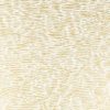 Arles NCW4355-01